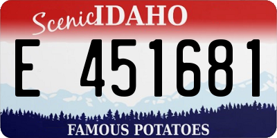 ID license plate E451681