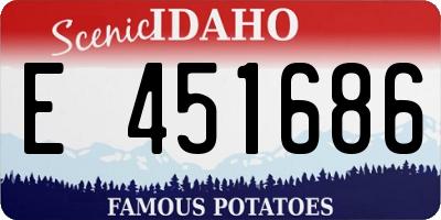 ID license plate E451686