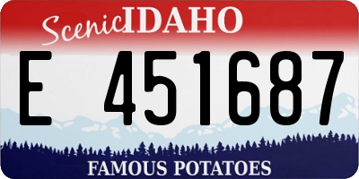ID license plate E451687
