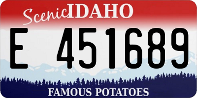 ID license plate E451689