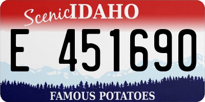 ID license plate E451690