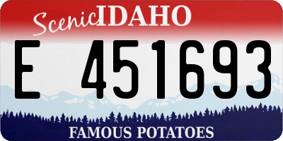 ID license plate E451693