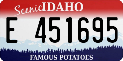 ID license plate E451695