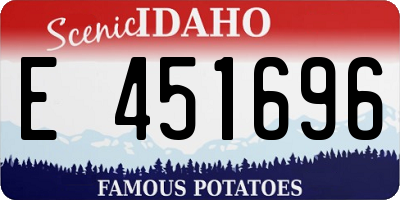 ID license plate E451696