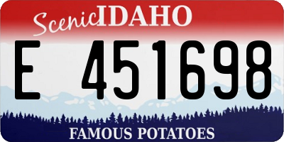 ID license plate E451698
