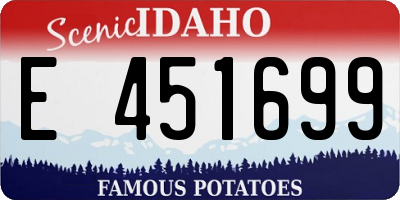 ID license plate E451699