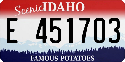 ID license plate E451703
