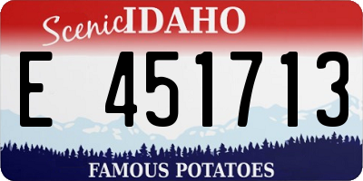ID license plate E451713