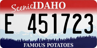 ID license plate E451723