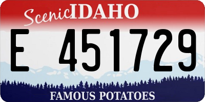 ID license plate E451729