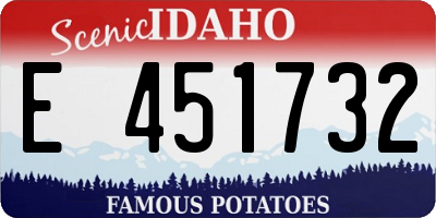 ID license plate E451732