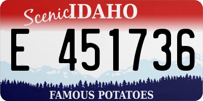 ID license plate E451736