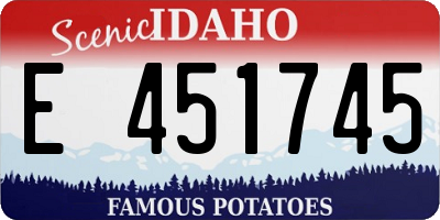 ID license plate E451745