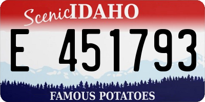 ID license plate E451793