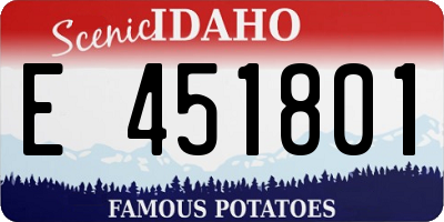 ID license plate E451801
