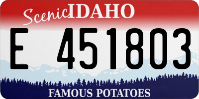 ID license plate E451803