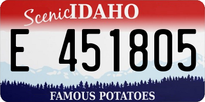ID license plate E451805
