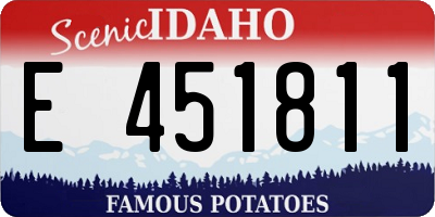 ID license plate E451811