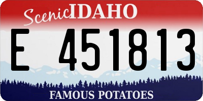 ID license plate E451813