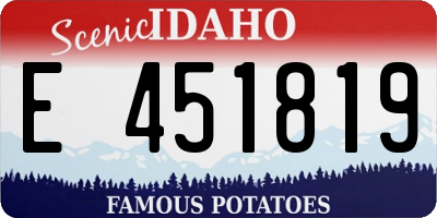 ID license plate E451819