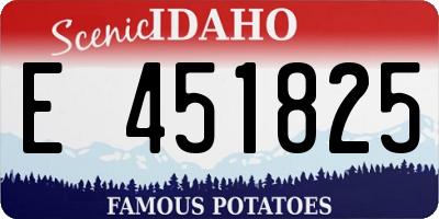 ID license plate E451825