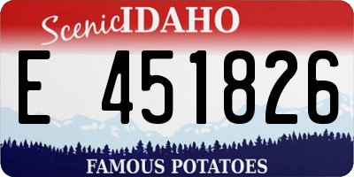ID license plate E451826