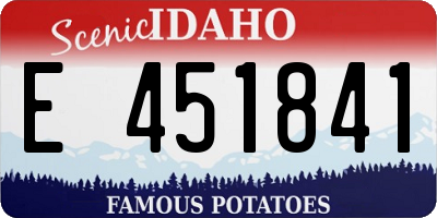 ID license plate E451841