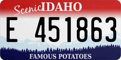 ID license plate E451863