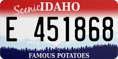 ID license plate E451868