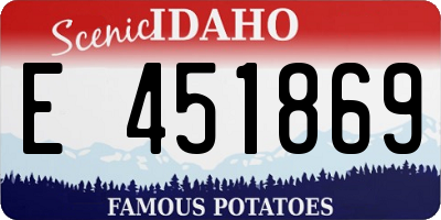 ID license plate E451869