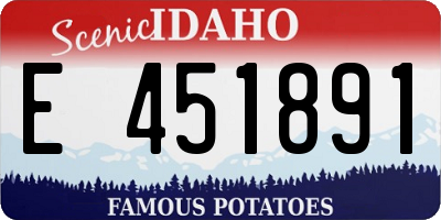 ID license plate E451891