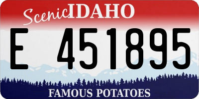ID license plate E451895