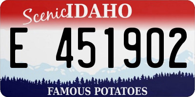 ID license plate E451902