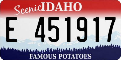 ID license plate E451917