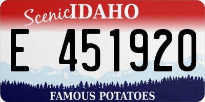 ID license plate E451920