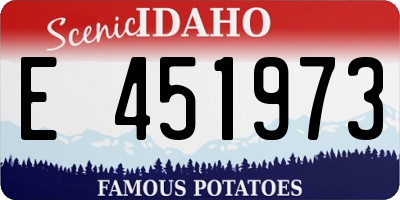 ID license plate E451973