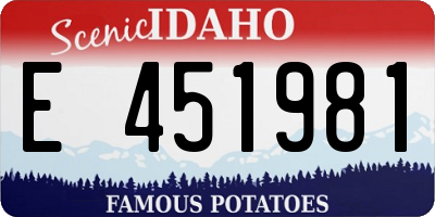 ID license plate E451981