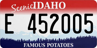 ID license plate E452005