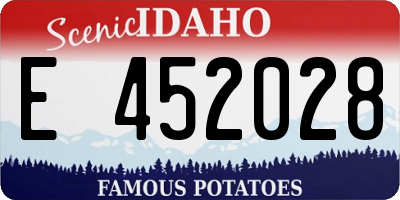 ID license plate E452028