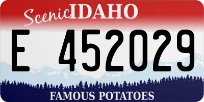 ID license plate E452029