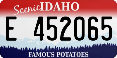 ID license plate E452065