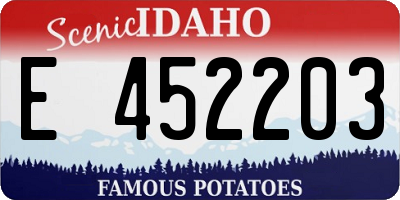 ID license plate E452203