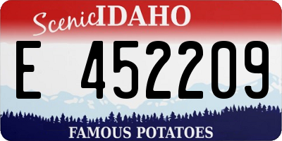 ID license plate E452209