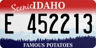 ID license plate E452213