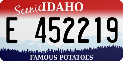 ID license plate E452219