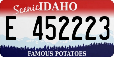 ID license plate E452223
