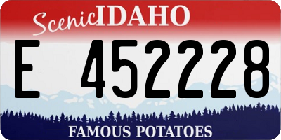 ID license plate E452228