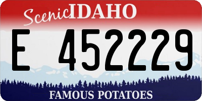ID license plate E452229