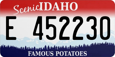 ID license plate E452230