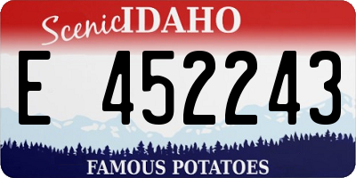 ID license plate E452243